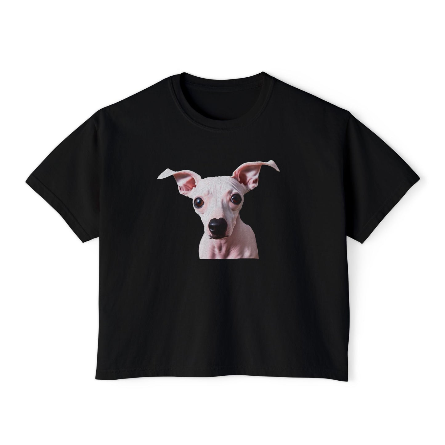 American Hairless Terrier Women's Oversized Boxy Tee