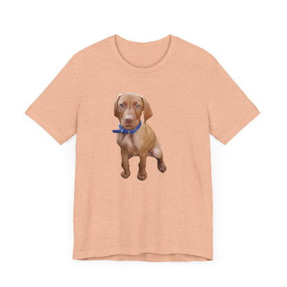Vizsla 'Augie' Unisex Jersey Short Sleeve Tee