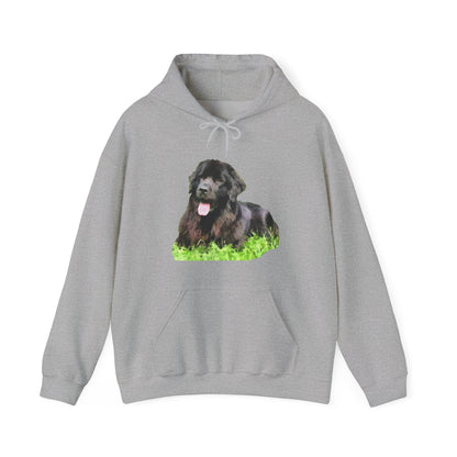 Newfoundland 'Madden' Unisex 50/50 Hoodie