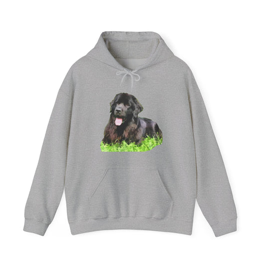 Newfoundland 'Madden' Unisex 50/50 Hoodie