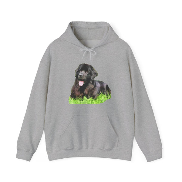 Newfoundland 'Madden' Unisex 50/50 Hoodie