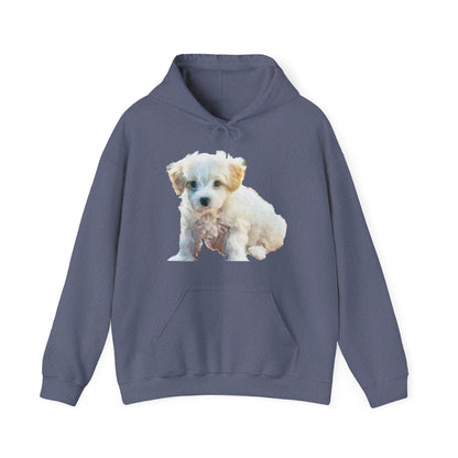 Bichon Frise Unisex 50/50 Hoodie