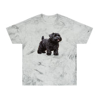 Black Russian Terrier Unisex Color Blast T-Shirt