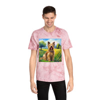 Briard Classic  Color Blast T-Shirt