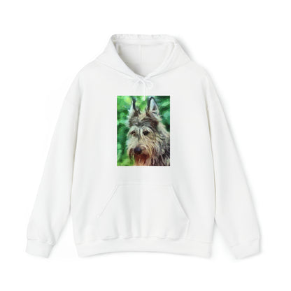 Berger Picard Unisex 50/50 Hoodie