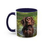 Boykin Spaniel -- Accent Coffee Mug --2 Sizes