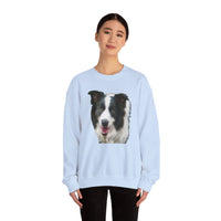Border Collie 'Archie' Comfort Crewneck Sweatshirt