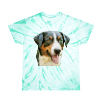 Appenzeller Sennenhund Tie-Dye Tee in Cyclone