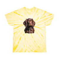 Boykin Spaniel Tie-Dye Tee, Cyclone