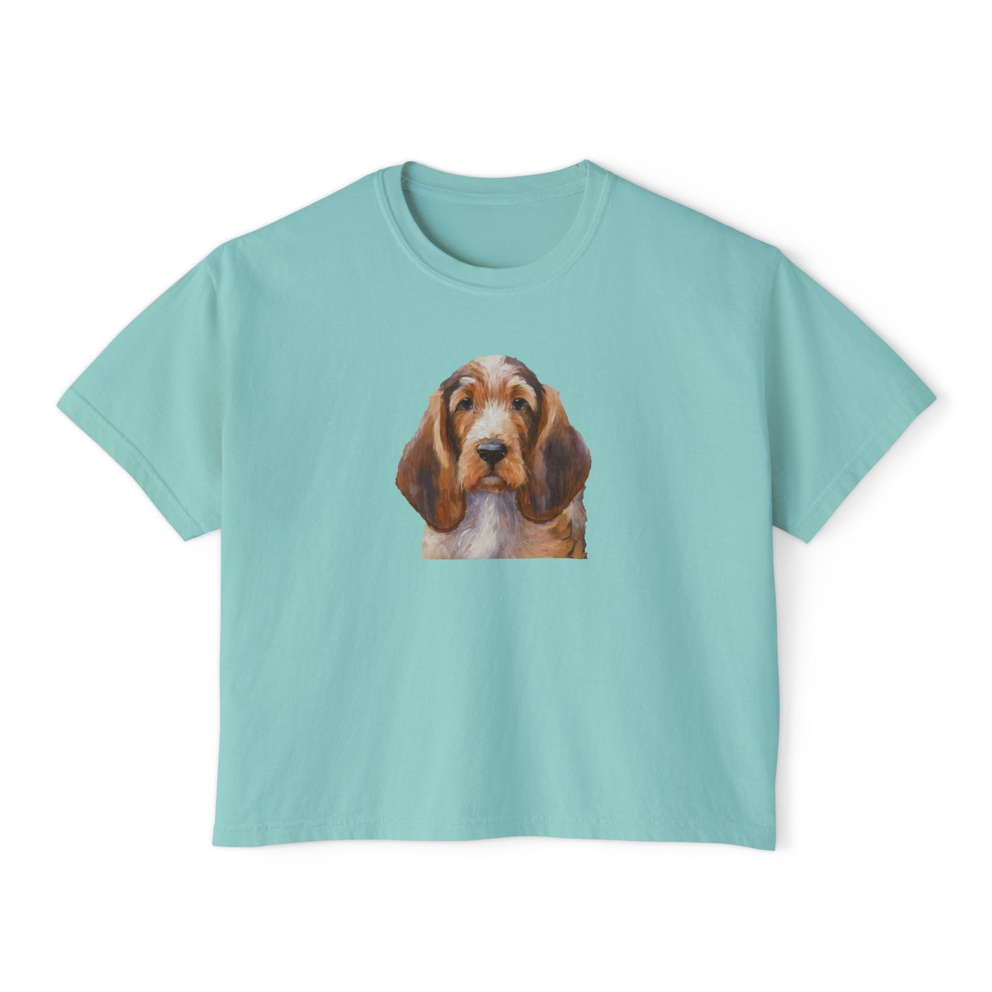 Basset Fauve de Bretagne Women's Oversized Boxy Tee