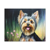 Yorkie #3 - Yorkshire Terrier - Canvas Gallery Wraps 20 x 16 Inches
