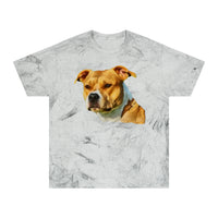 Pit Bull 'Herculese' Unisex Cotton  -  Color Blast T-Shirt