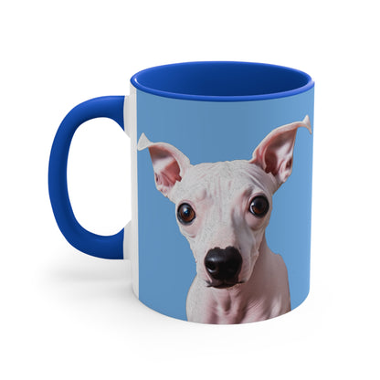 Charming American Hairless Terrier 11oz Ceramic Accent Mug