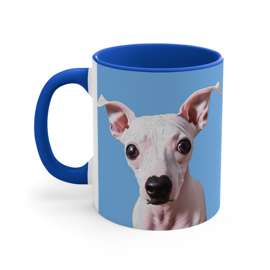 Charming American Hairless Terrier 11oz Ceramic Accent Mug