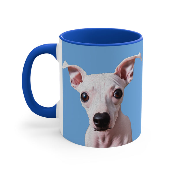 Charming American Hairless Terrier 11oz Ceramic Accent Mug