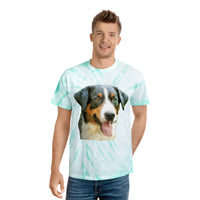 Appenzeller Sennenhund Tie-Dye Tee in Cyclone