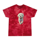 Bolognese Tie-Dye Tee in Crystal