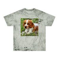 Welsh Springer Spaniel Unisex Color Blast T-Shirt