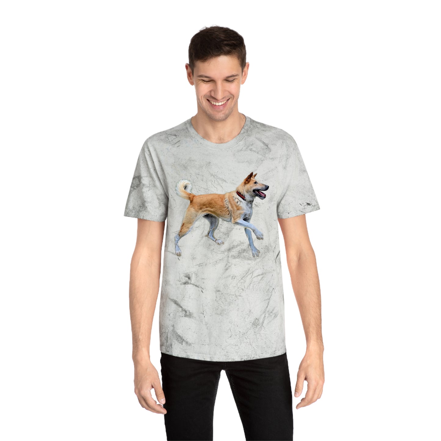 Korean Jindo Unisex Color Blast T-Shirt