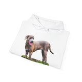 Blue Lacy 'Tex' Unisex 50/50 Hoodie