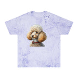 Standard Poodle #2 - Classic Color Blast T-Shirt