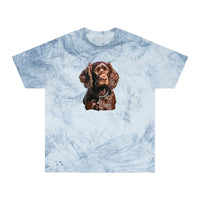 Boykin Spaniel Unisex Color Blast T-Shirt