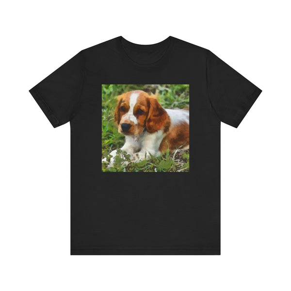 Welsh Springer Spaniel Unisex Jersey Short Sleeve Tee
