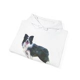 Border Collie 'Andrew' Unisex 50/50 Hooded Sweatshirt