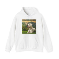 Dogo Argentino 50/50 Hooded Sweatshirt