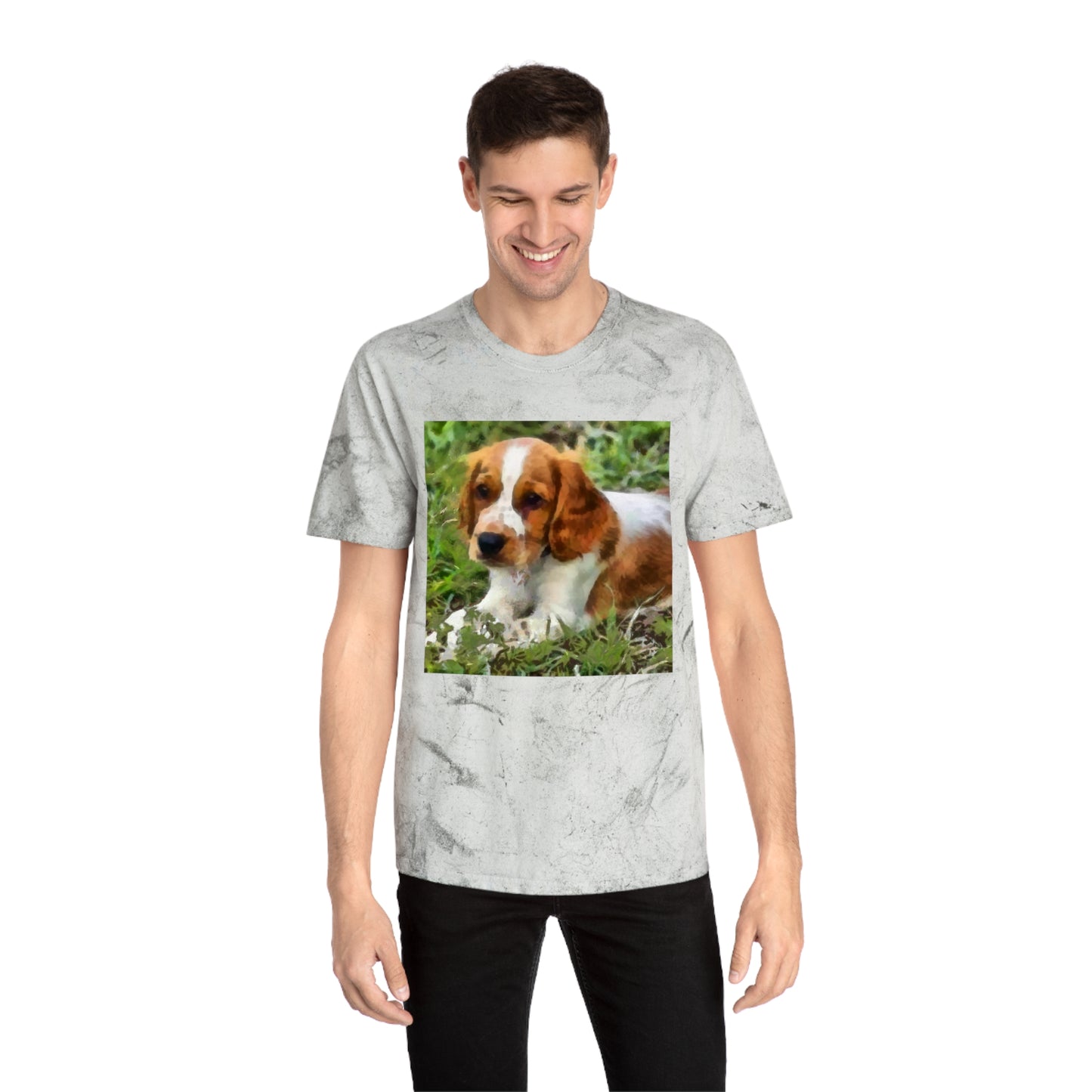 Welsh Springer Spaniel Unisex Color Blast T-Shirt