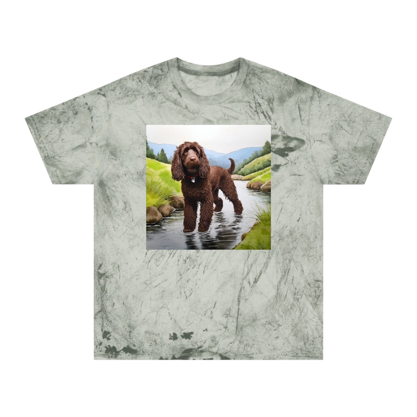 Irish Water Spaniel Unisex Color Blast T-Shirt