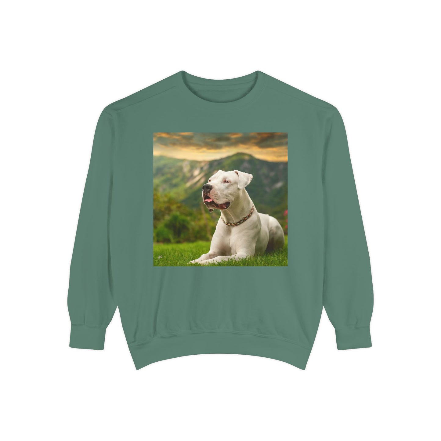 Dogo Argentino - Unisex Garment-Dyed Sweatshirt
