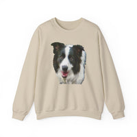 Border Collie 'Archie' Unisex 50/50 Crewneck Sweatshirt