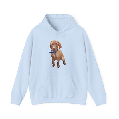 Hungarian Vizsla 'Augie' Unisex 50/50 Hoodie