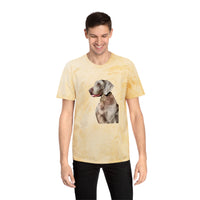 Weimaraner 'Rocky' Color Blast T-Shirt