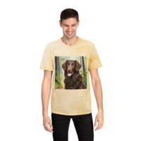 Curly-Coated Retriever  Color Blast T-Shirt