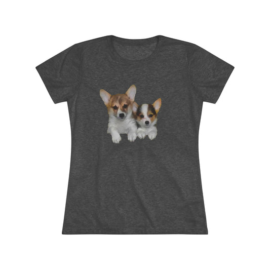 Welsh Corgi 'Cousins' Women's Slim Fit Triblend Tee