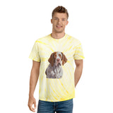 Bracco Italiano Classic Tie-Dye Tee, Cyclone