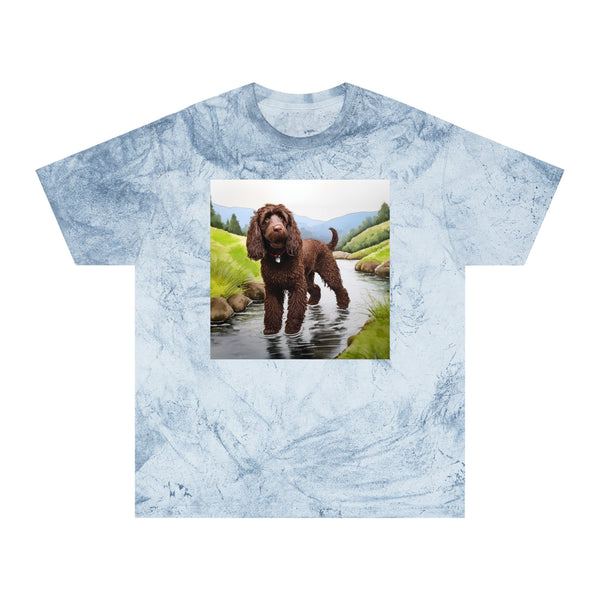 Irish Water Spaniel Unisex Color Blast T-Shirt