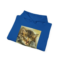 Sleepy Brucie the Cat - Classic 50/50 Hoodie