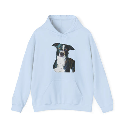 McNab Shepherd Unisex 50/50 Hooded Sweatshirt