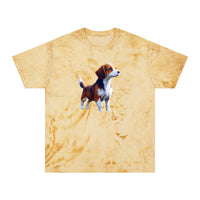 Drever Puppy - Unisex Color Blast T-Shirt