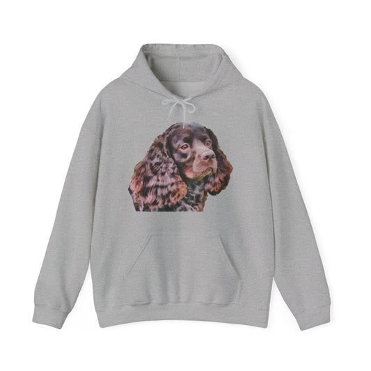 American Water Spaniel Unisex 50/50 Hoodie