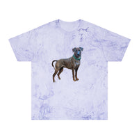 Treeing Tennessee Brindle  Unisex Color Blast T-Shirt