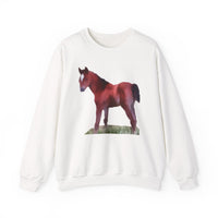 Horse 'Contata' Unisex 50/50 Crewneck Sweatshirt