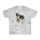 Romanian Carpathian Shepherd Unisex Color Blast T-Shirt