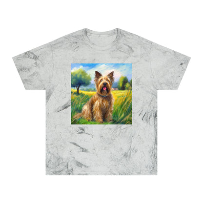 Briard Classic  Color Blast T-Shirt