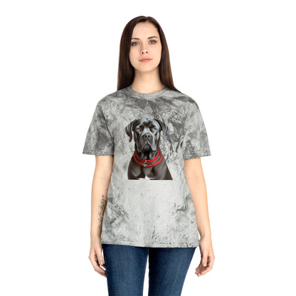 Cane Corso Unisex Color Blast T-Shirt