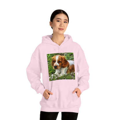 Welsh Springer Spaniel Unisex 50/50 Hoodie