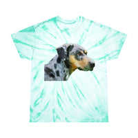 Catahoula 'Clancy' -  Unisex Tie-Dye Tee, Cyclone